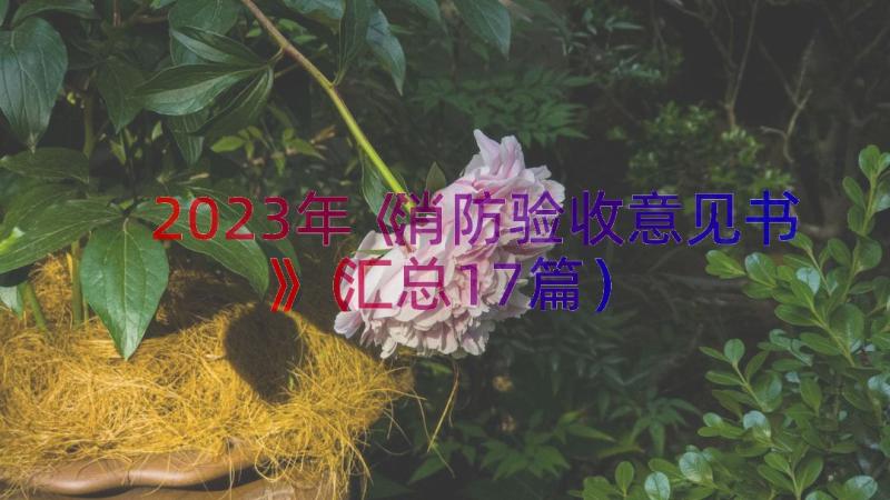 2023年《消防验收意见书》（汇总17篇）