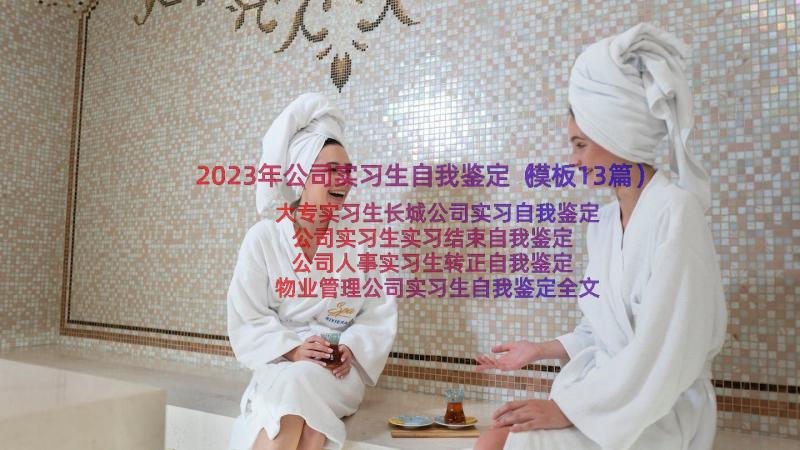 2023年公司实习生自我鉴定（模板13篇）