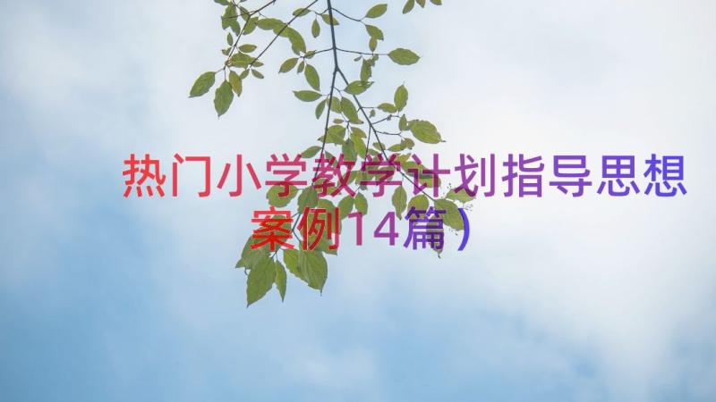 热门小学教学计划指导思想（案例14篇）