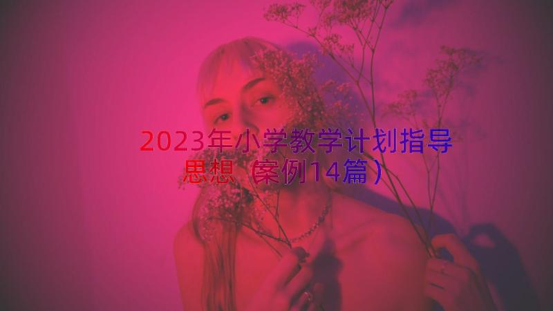 2023年小学教学计划指导思想（案例14篇）