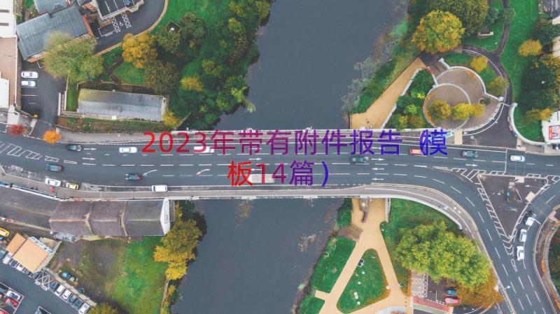 2023年带有附件报告（模板14篇）