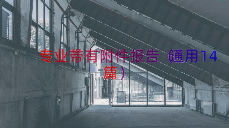 专业带有附件报告（通用14篇）