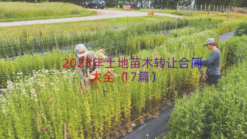 2023年土地苗木转让合同大全（17篇）