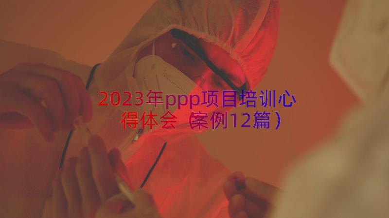 2023年ppp项目培训心得体会（案例12篇）