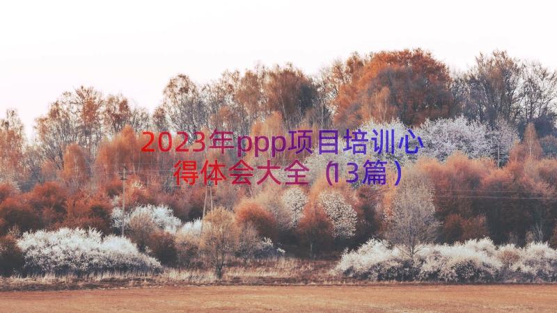 2023年ppp项目培训心得体会大全（13篇）