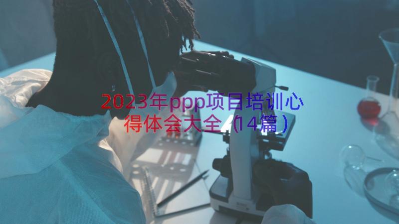 2023年ppp项目培训心得体会大全（14篇）