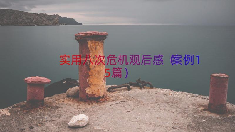 实用八次危机观后感（案例15篇）