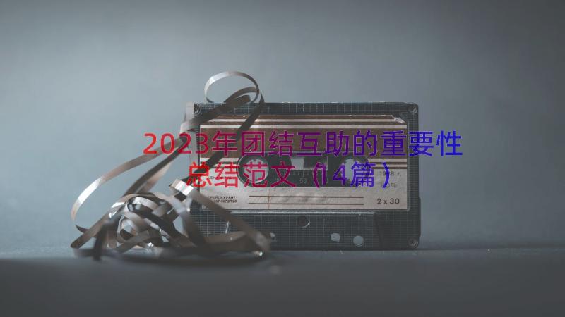 2023年团结互助的重要性总结范文（14篇）