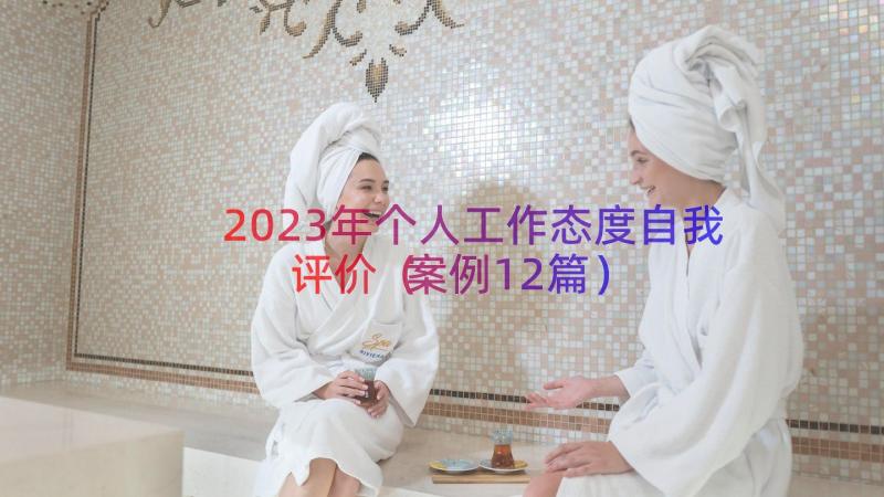 2023年个人工作态度自我评价（案例12篇）