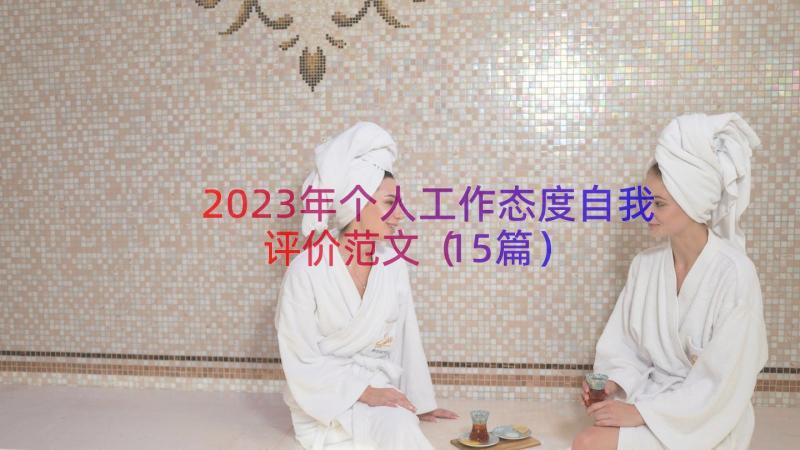 2023年个人工作态度自我评价范文（15篇）