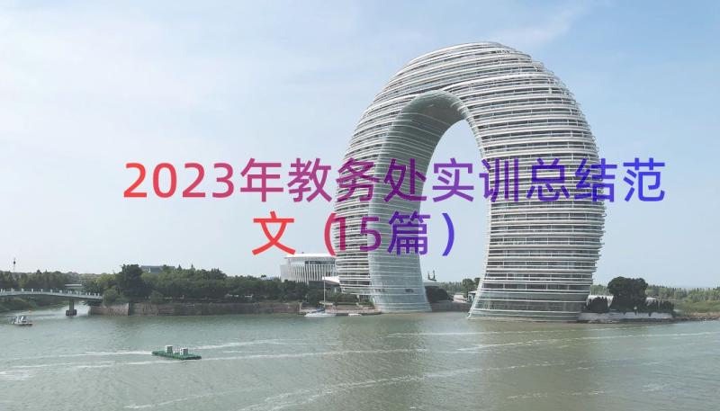 2023年教务处实训总结范文（15篇）