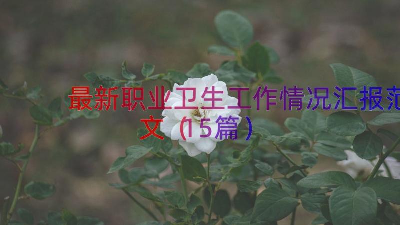 最新职业卫生工作情况汇报范文