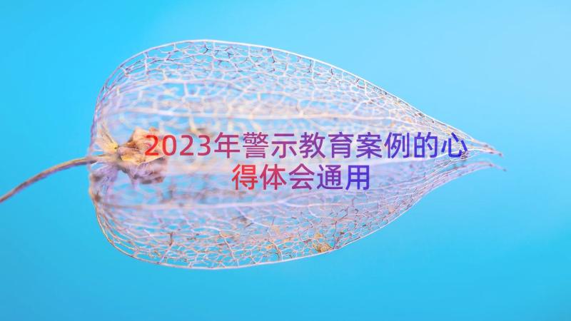 2023年警示教育案例的心得体会（通用16篇）