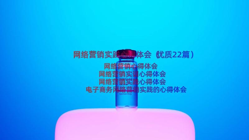 网络营销实践心得体会（优质22篇）