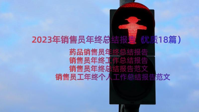 2023年销售员年终总结报告（优质18篇）