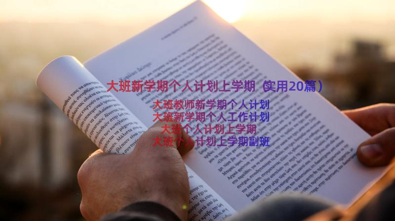 大班新学期个人计划上学期（实用20篇）