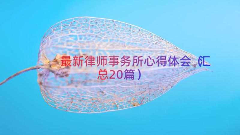 最新律师事务所心得体会（汇总20篇）