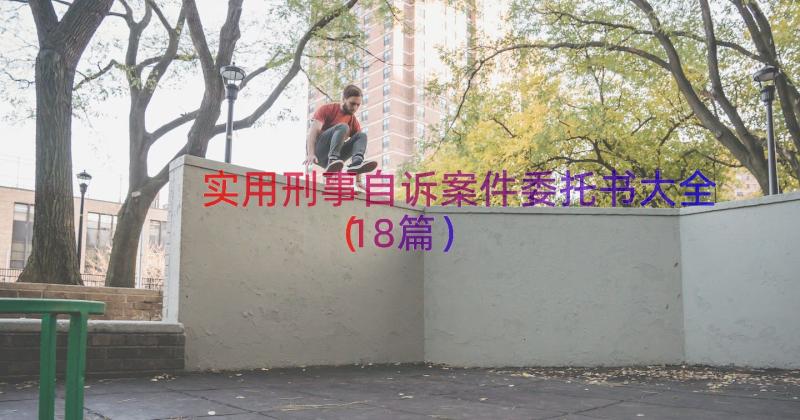 实用刑事自诉案件委托书大全（18篇）