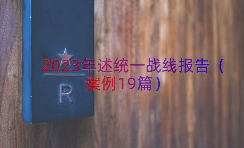 2023年述统一战线报告（案例19篇）