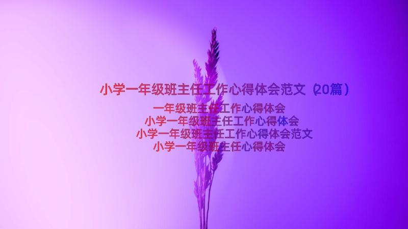 小学一年级班主任工作心得体会范文（20篇）