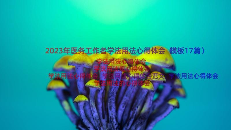 2023年医务工作者学法用法心得体会（模板17篇）