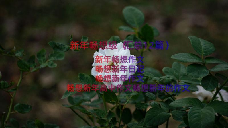 新年畅想级（汇总12篇）