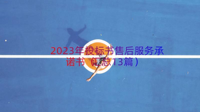 2023年投标书售后服务承诺书（汇总13篇）