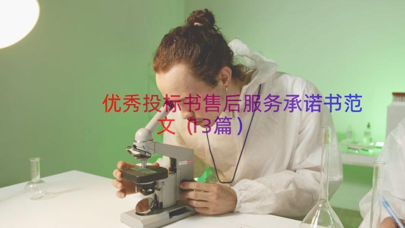 优秀投标书售后服务承诺书范文（13篇）