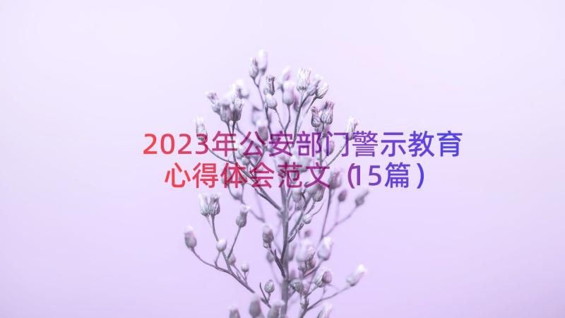 2023年公安部门警示教育心得体会范文（15篇）