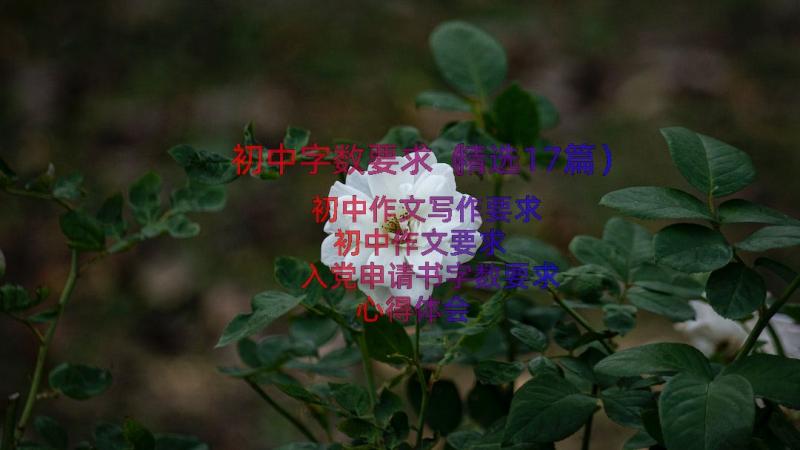 初中字数要求（精选17篇）