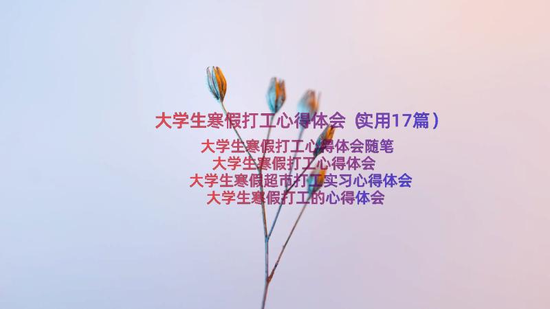 大学生寒假打工心得体会（实用17篇）