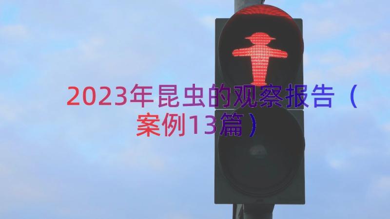 2023年昆虫的观察报告（案例13篇）