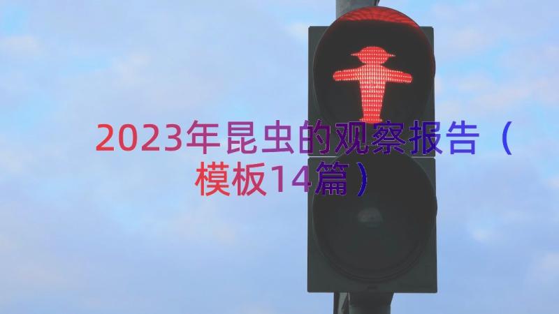 2023年昆虫的观察报告（模板14篇）