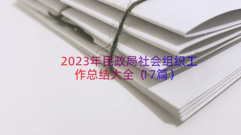 2023年民政局社会组织工作总结大全（17篇）