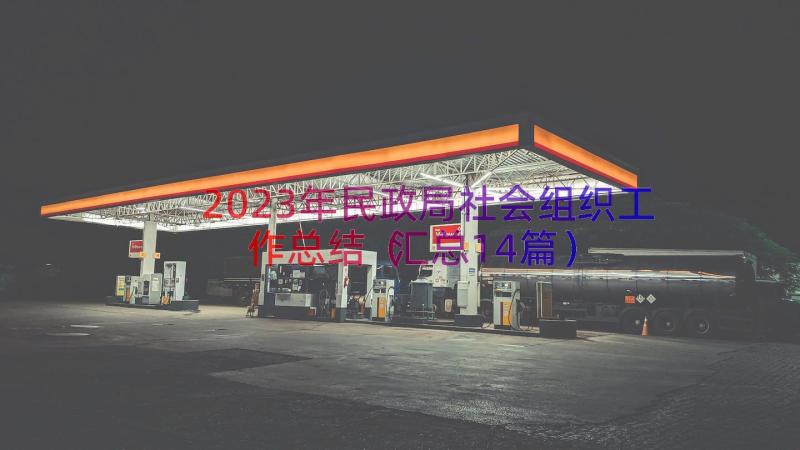 2023年民政局社会组织工作总结（汇总14篇）