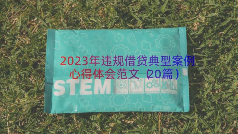 2023年违规借贷典型案例心得体会范文（20篇）