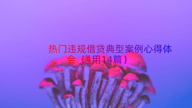 热门违规借贷典型案例心得体会（通用14篇）