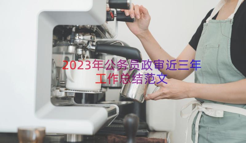 2023年公务员政审近三年工作总结范文（19篇）