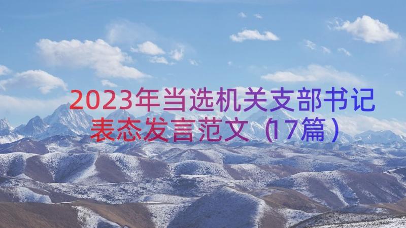 2023年当选机关支部书记表态发言范文