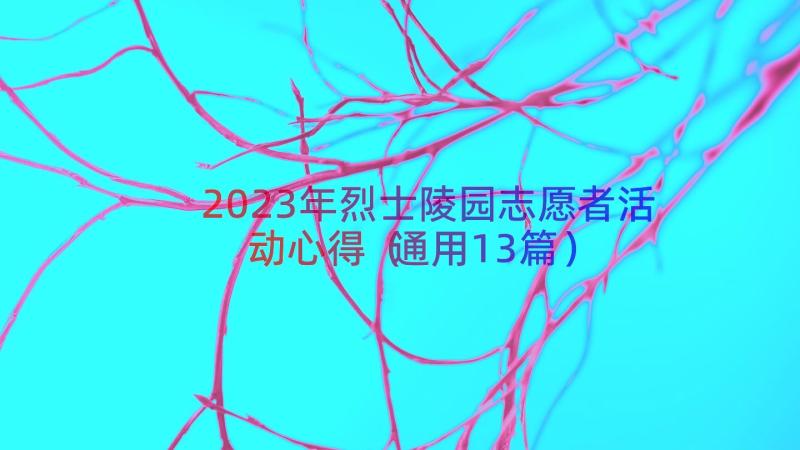 2023年烈士陵园志愿者活动心得（通用13篇）