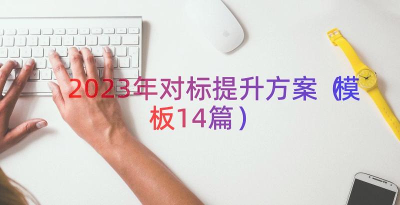 2023年对标提升方案（模板14篇）