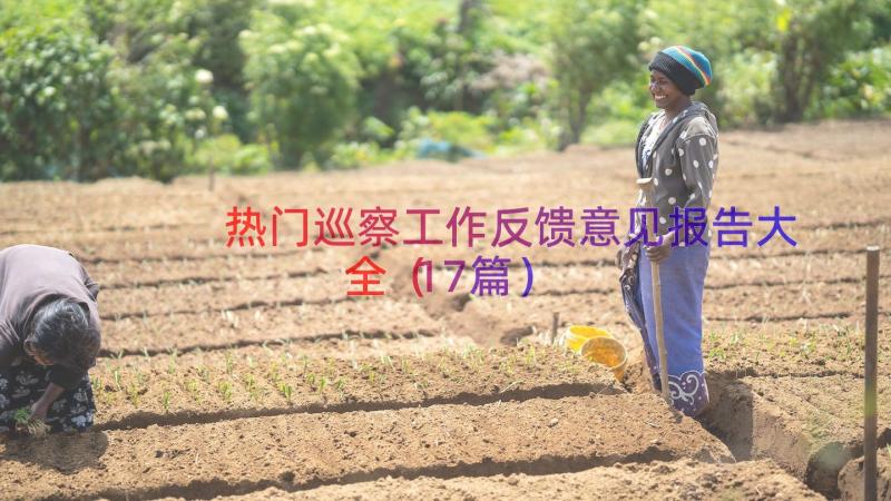 热门巡察工作反馈意见报告大全（17篇）