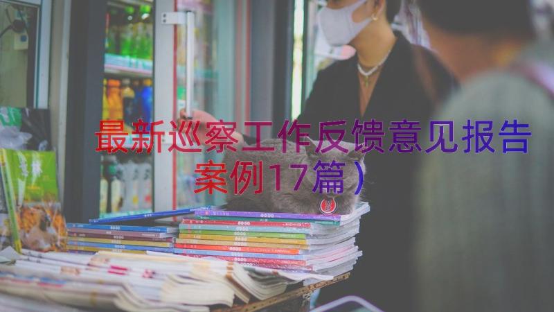 最新巡察工作反馈意见报告（案例17篇）