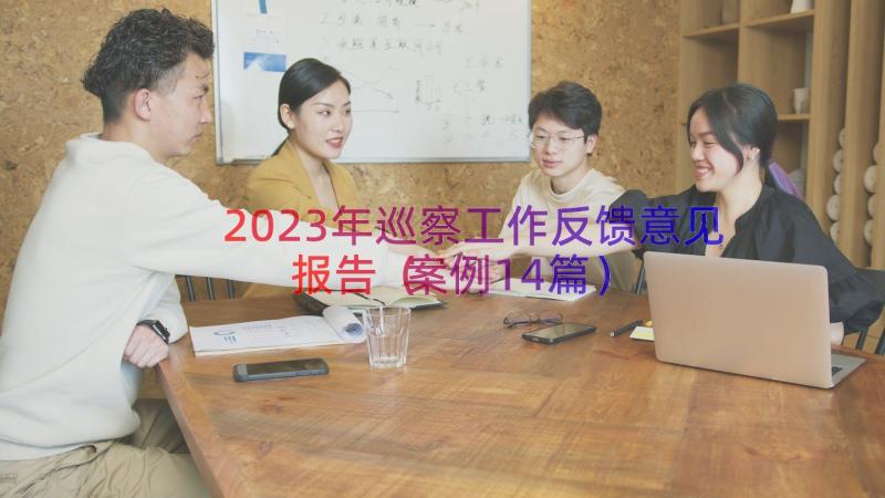 2023年巡察工作反馈意见报告（案例14篇）