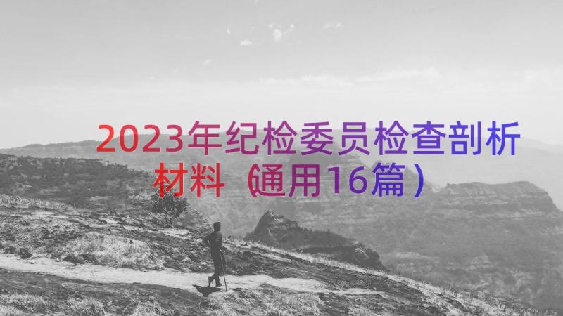 2023年纪检委员检查剖析材料（通用16篇）