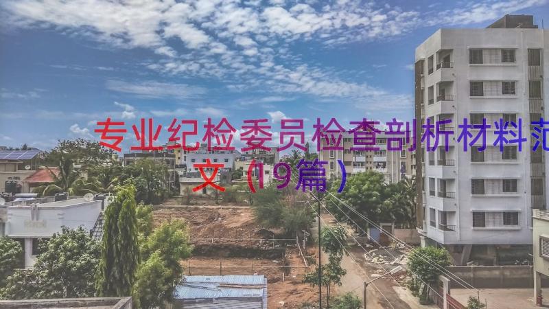 专业纪检委员检查剖析材料范文