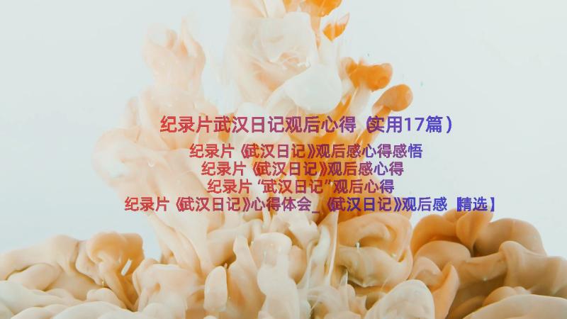 纪录片武汉日记观后心得（实用17篇）