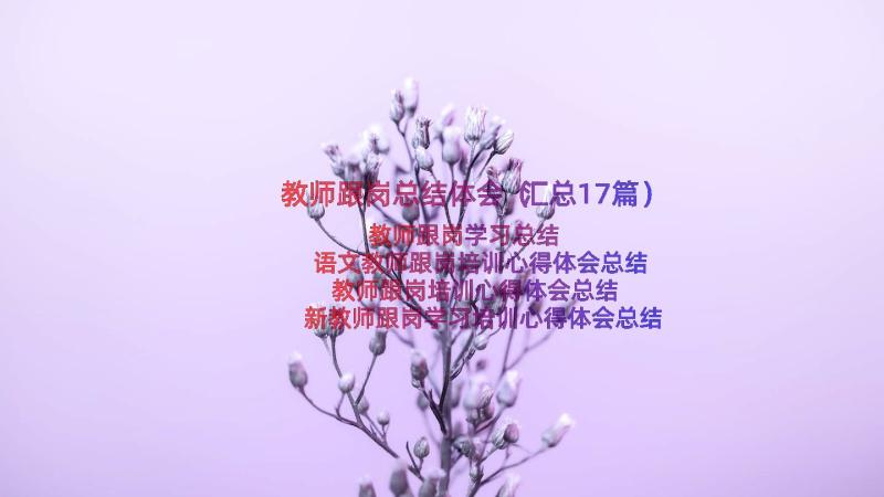 教师跟岗总结体会（汇总17篇）