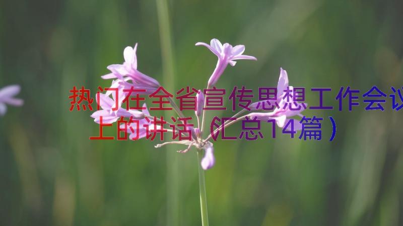 热门在全省宣传思想工作会议上的讲话（汇总14篇）