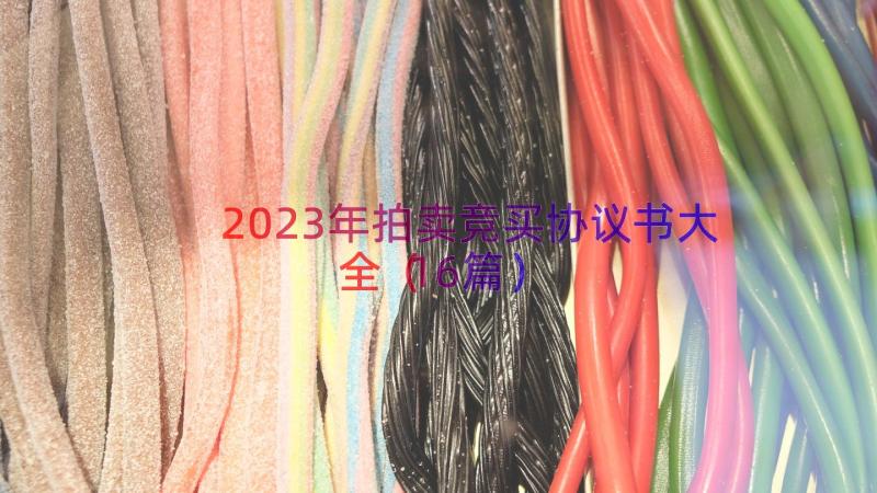 2023年拍卖竞买协议书大全（16篇）